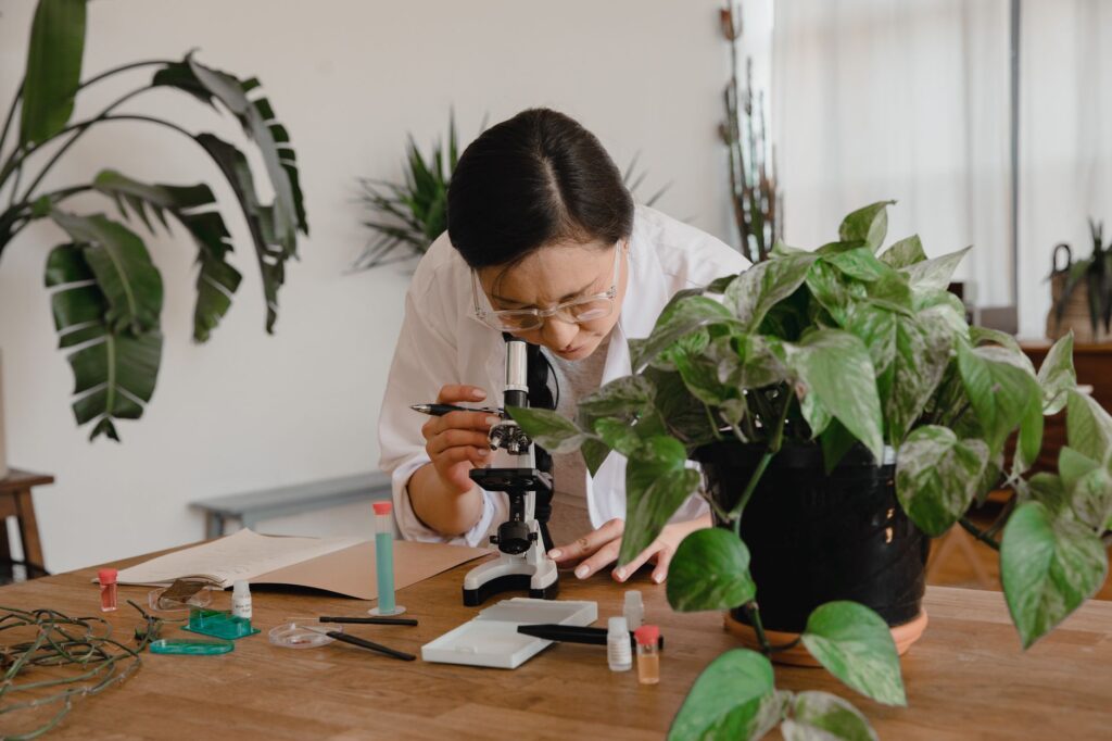 Female scientist examining samples under microscope in an indoor lab with plants.