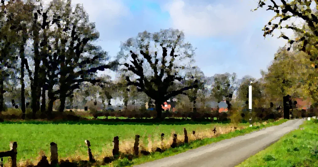 A tranquil rural scene in Coesfeld, Germany, with a country road and lush green fields.