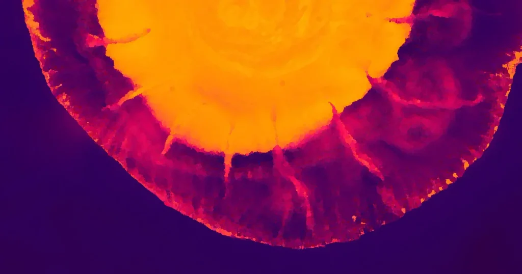 Colorful abstract art piece with bold red and yellow hues, resembling a cosmic explosion.