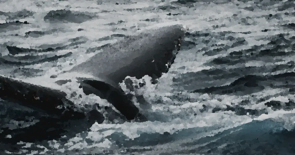 A majestic humpback whale tail surfaces in the Pacific Ocean off California's coast.