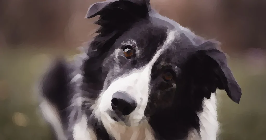 Charming close-up shot of a Border Collie dog with attentive eyes and fur detail.