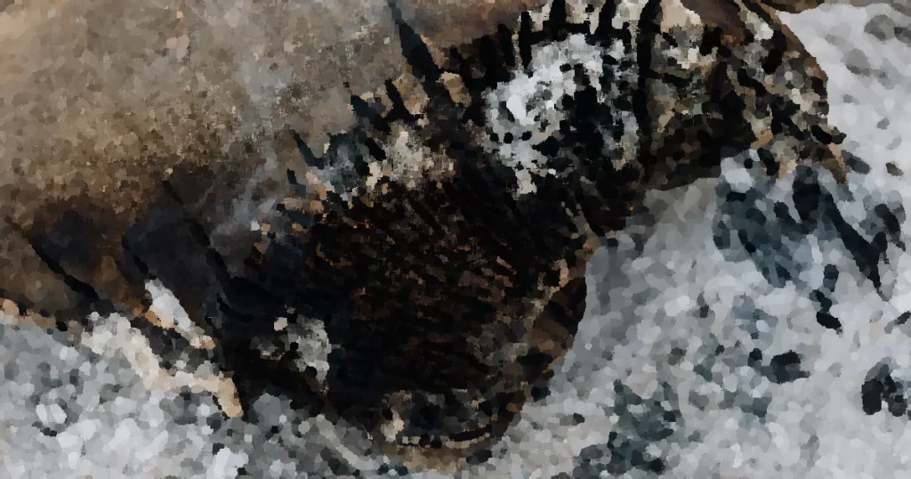 Detailed view of a burnt log with visible ash and smoke, showing rich textures.